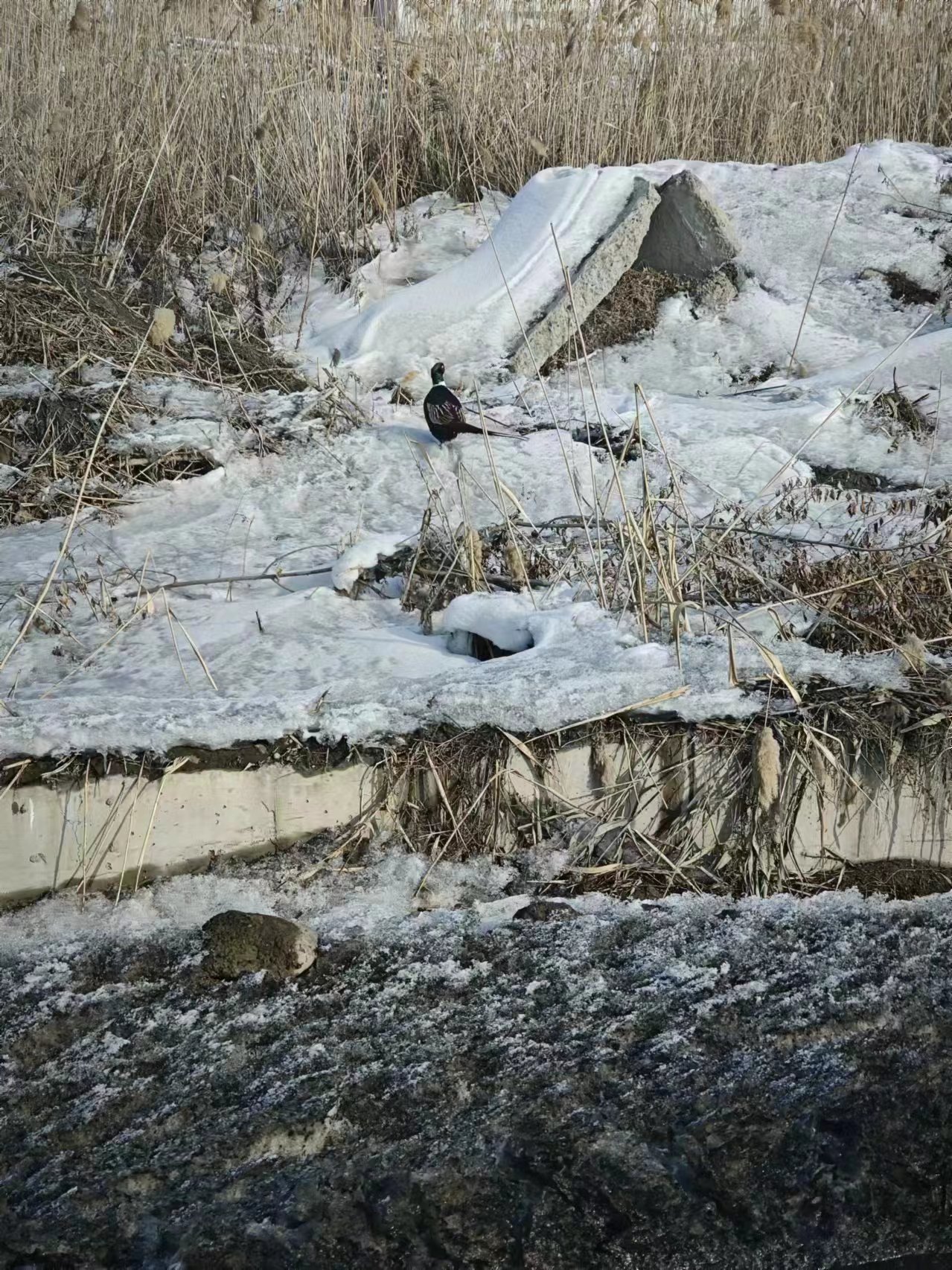 18luck(�й�)�ٷ���վ