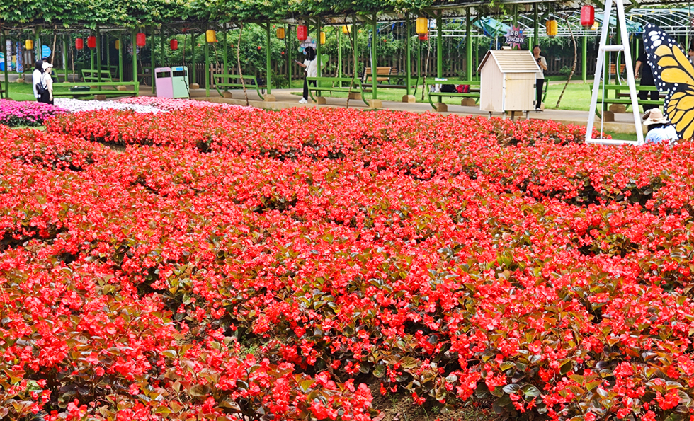 18luck(�й�)�ٷ���վ